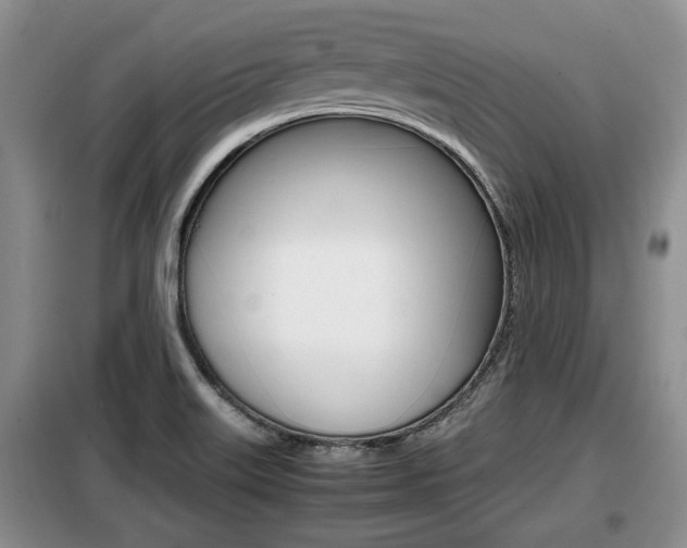 X0000099411515200805090715