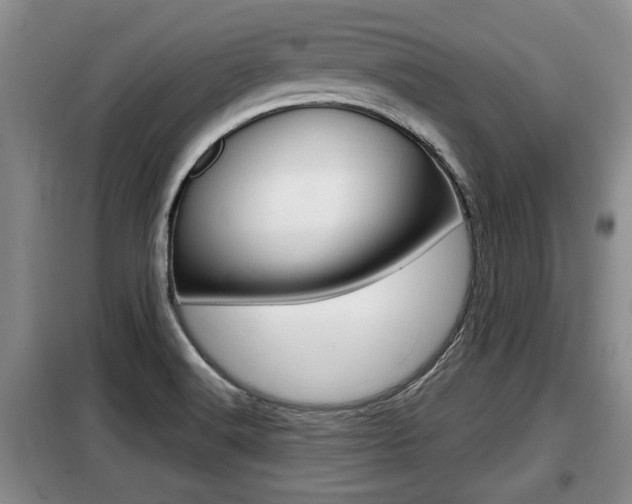 X0000099411516200805090715