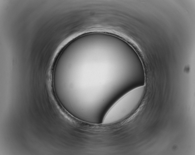 X0000099411517200805090715