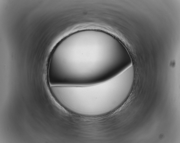 X0000099411518200805090715