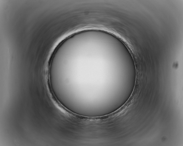 X0000099411519200805090715