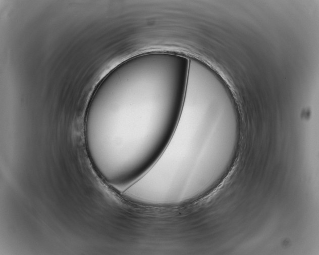 X0000099411521200805090715