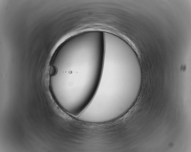 X0000099411522200805090715