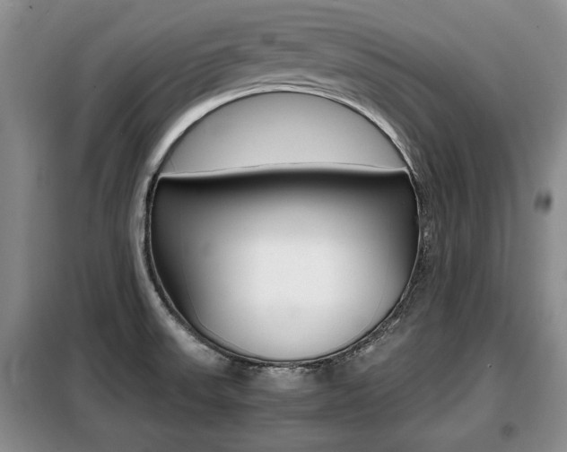 X0000099411523200805090715