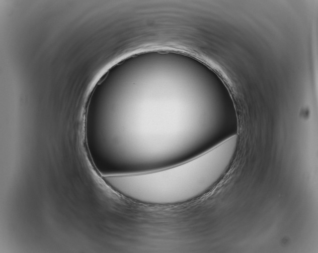 X0000099411524200805090715