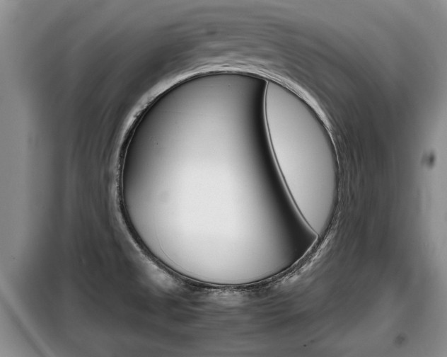X0000099411525200805090715