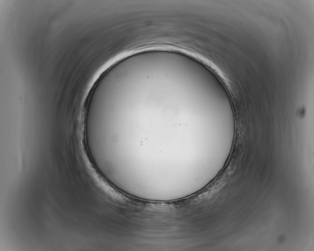 X0000099411526200805090715