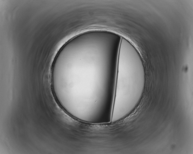 X0000099411527200805090715