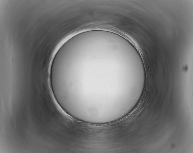 X0000099411528200805090715
