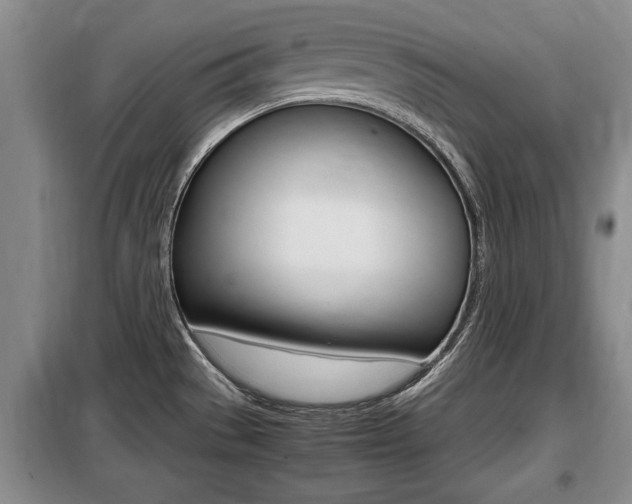 X0000099411529200805090715