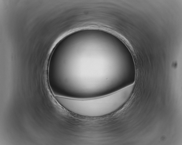 X0000099411530200805090715