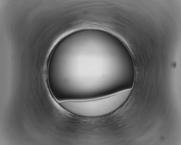 X0000099411531200805090715