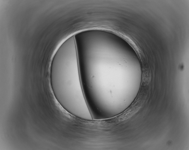 X0000099411532200805090715