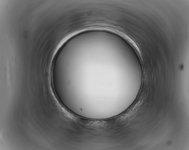 X0000099411533200805090716
