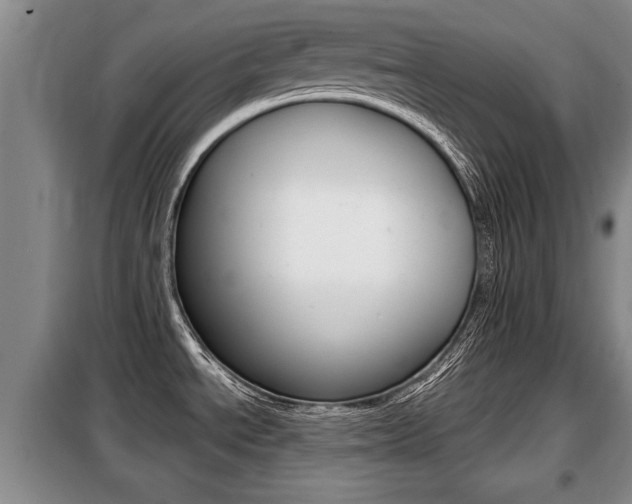 X0000099411534200805090716