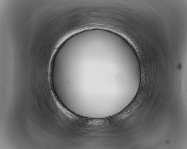 X0000099411535200805090716