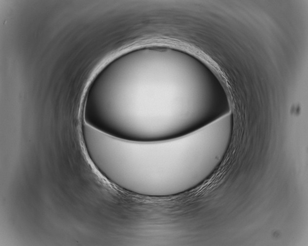 X0000099411536200805090716
