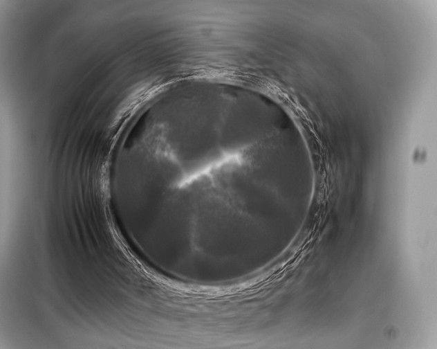 X0000099410002200805091230