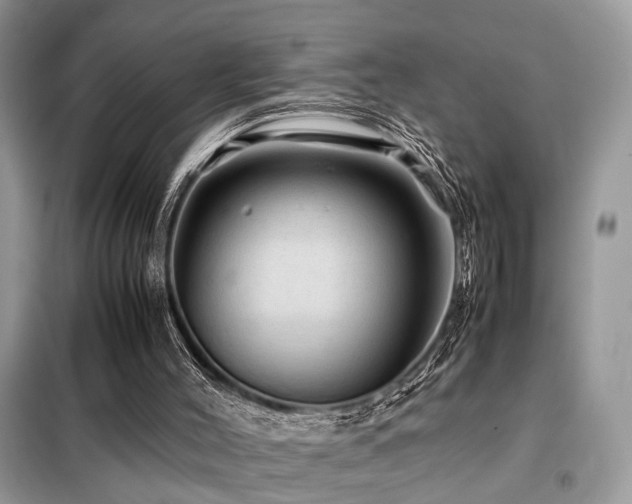 X0000099410004200805091230