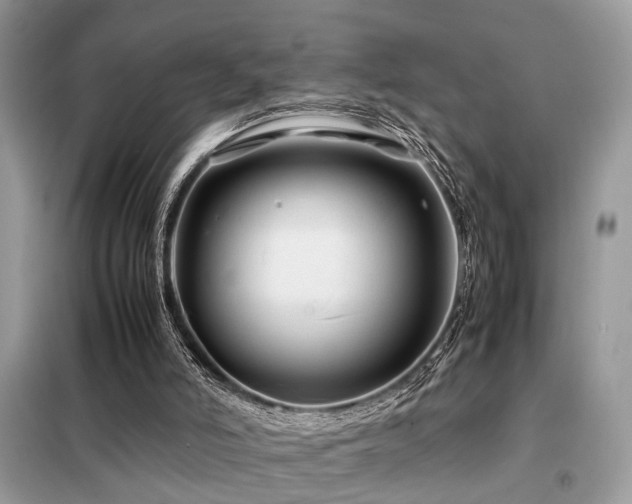 X0000099410006200805091230