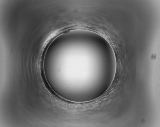 X0000099410007200805091230