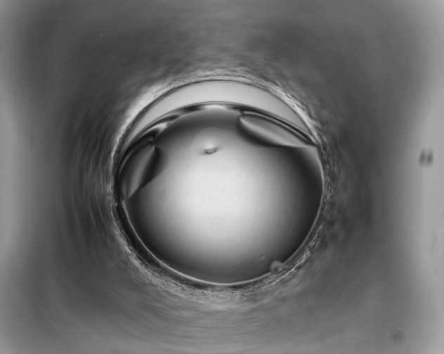 X0000099410008200805091230