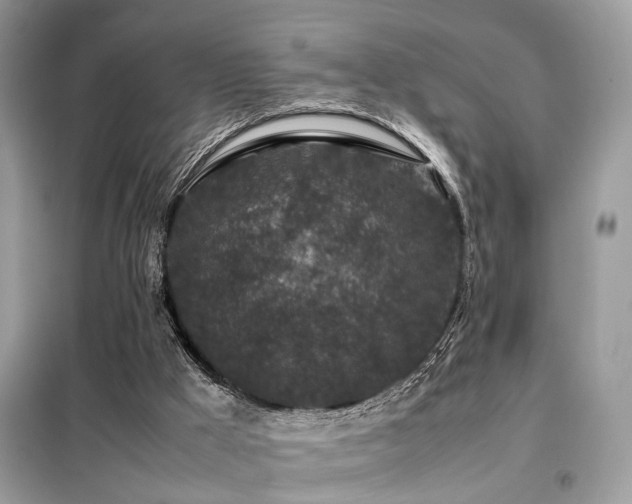 X0000099410009200805091230