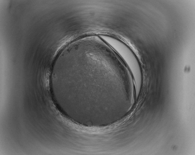 X0000099410010200805091230
