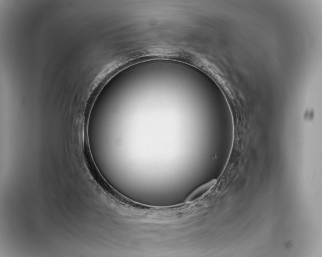X0000099410011200805091230
