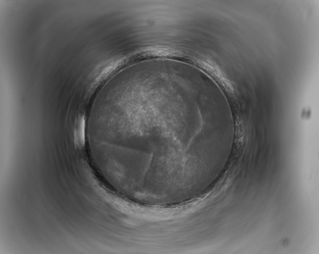 X0000099410014200805091230