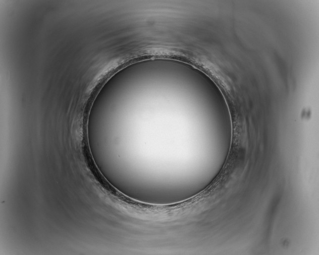 X0000099410015200805091230