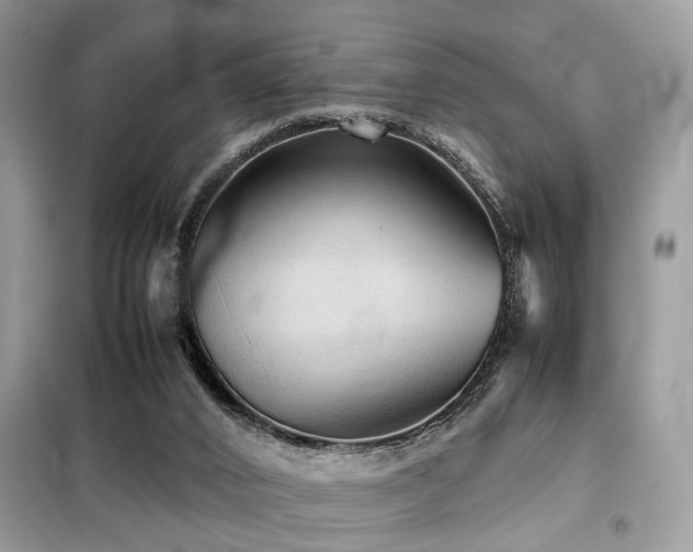 X0000099410016200805091230