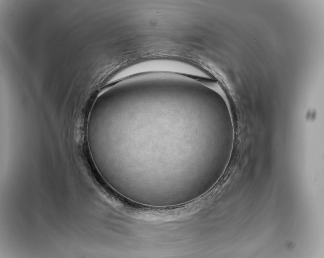 X0000099410017200805091230