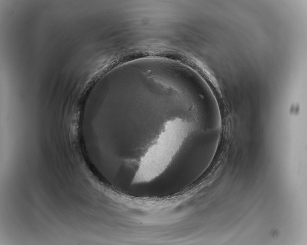 X0000099410018200805091230