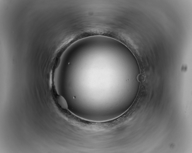 X0000099410020200805091230