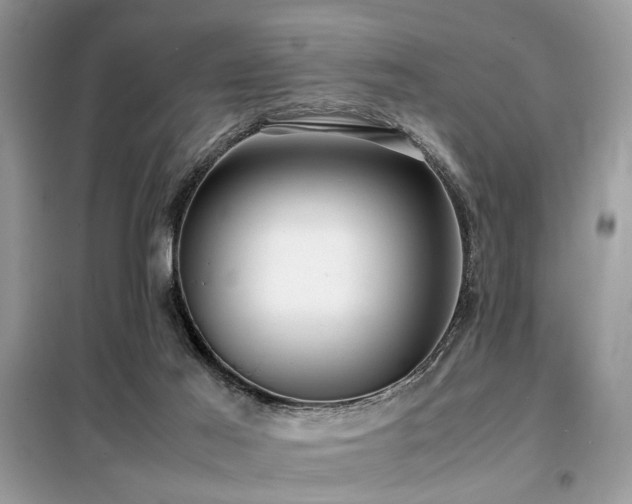 X0000099410021200805091230