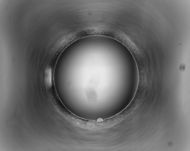 X0000099410022200805091230