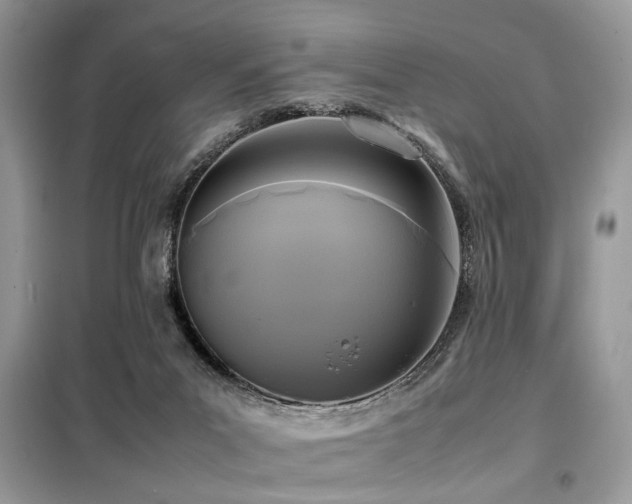 X0000099410023200805091230