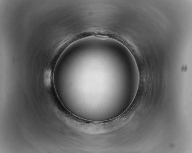 X0000099410024200805091230