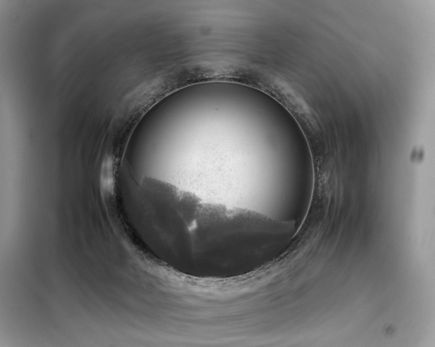 X0000099410026200805091230