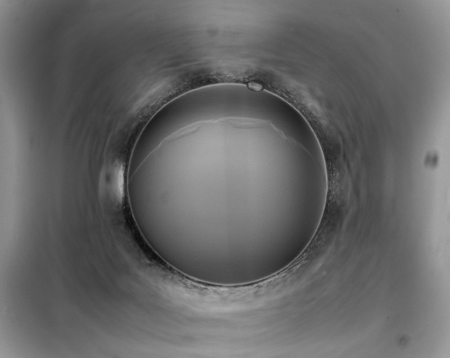 X0000099410027200805091230