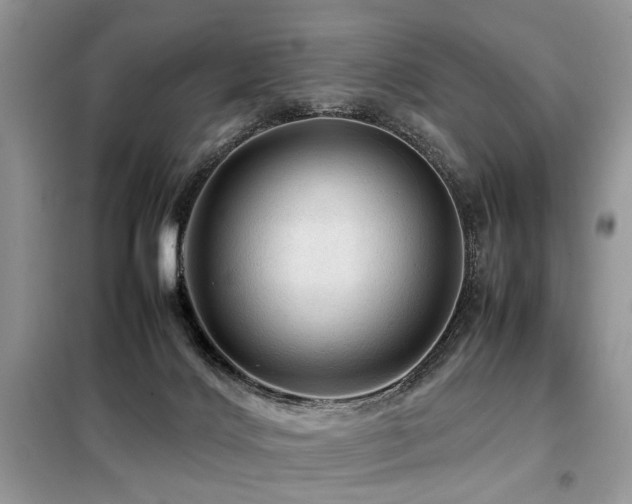 X0000099410028200805091230