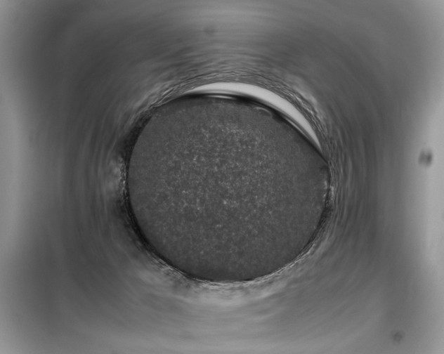 X0000099410029200805091230