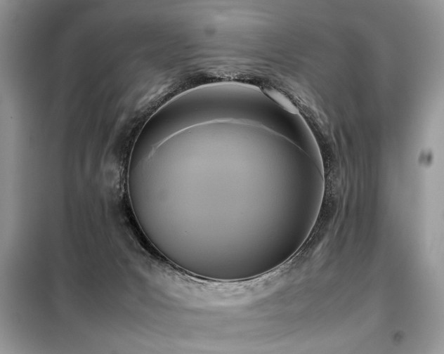X0000099410031200805091230