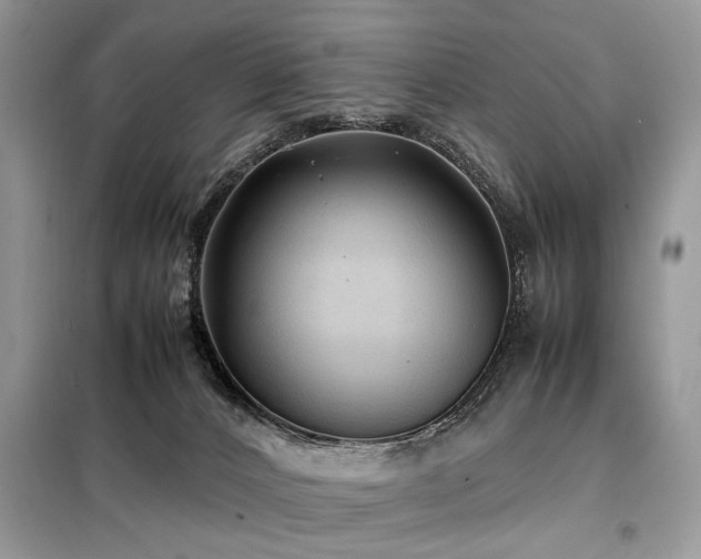 X0000099410032200805091230