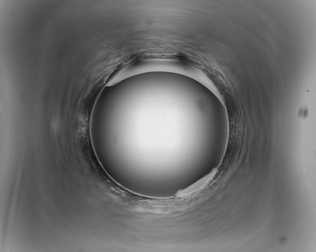 X0000099410033200805091230