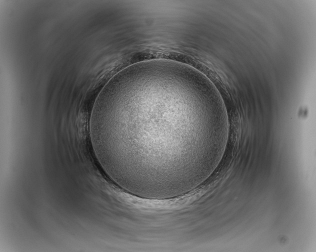 X0000099410034200805091230