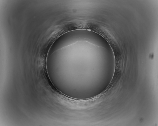 X0000099410035200805091230