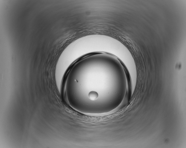 X0000099410037200805091230