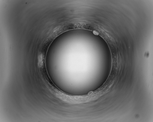 X0000099410038200805091230